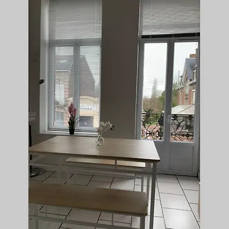 Appartement De Charme Avec Balcon En Centre Ville V9 *