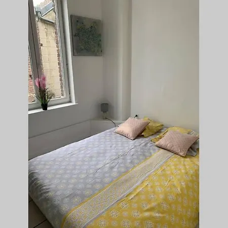 Appartement De Charme Avec Balcon En Centre Ville V9 *